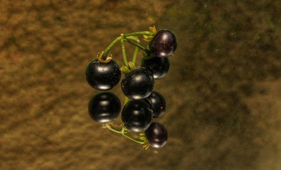 Solanum nigrum fruit in glass