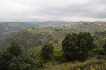 Fototapeta na wymiar Landscape of vineyards grape in Douro valley, Portugal
