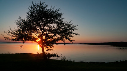 Sunset on the lake with a lone tree