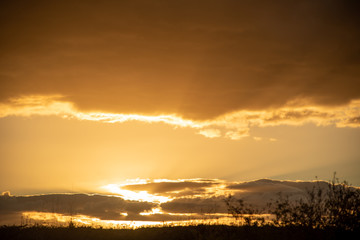 Rural landscape at dusk in the region of the Pampa Biome bordering Brazil and Uruguay