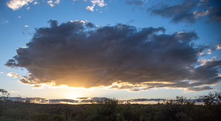 Rural landscape at dusk in the region of the Pampa Biome bordering Brazil and Uruguay