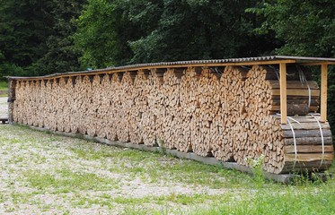 Witterungsschutz - Holzscheite lagern zum Trocknen im Wald