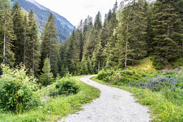 Fototapeta na wymiar Hiking Path In Mountains Area