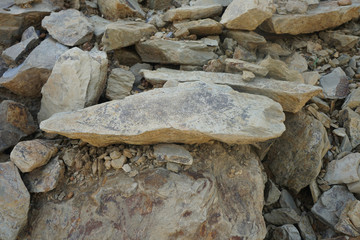 raw of Shale is a fine-grained sedimentary rock, on nature background.
