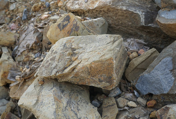 raw of Shale is a fine-grained sedimentary rock, on nature background.