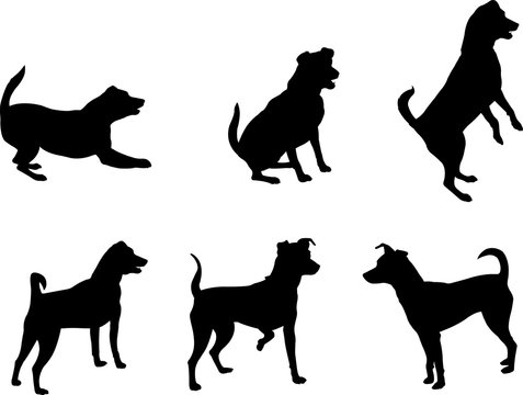 mini pinscher dog silhouettes set - vector artwork