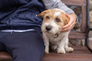 Photo of young man in denim clothes sitting on bench in park with his dog