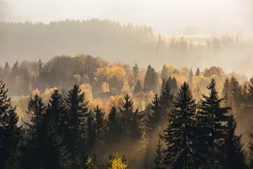 Photo sur Plexiglas Forêt dans le brouillard Regarder le coucher de soleil sur la forêt depuis la tour d& 39 observation de Slovanka près de Janov nad Nisou, Tchéquie
