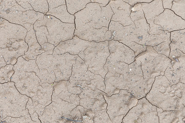 cracked clay after a rainshower and hot sun