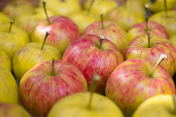 Ripe red and yellow apples are in the box: fruit background, fruit pattern, harvest concept, top view, close up, place for text
