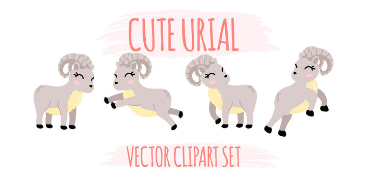 cute urial animal cartoon vector element set