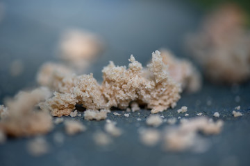 Bread crumbs in a bird feeder with a close-up photographed with a shallow depth of field.