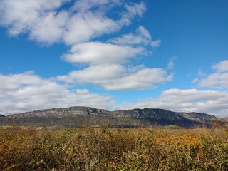 autumn landscape with mountains