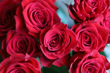 Bright red roses on gray and green background