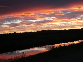 Coucher de soleil sur les marais