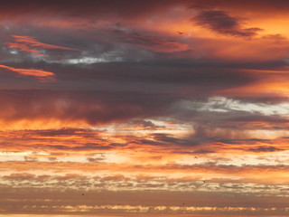 Coucher de soleil sur les marais