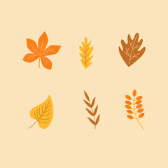 autumn leaves set. leaf collection
