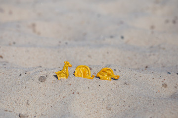 Fototapeta na wymiar Animal (turtle, giraffe, elephant) shaped crackers in the sand on the beach