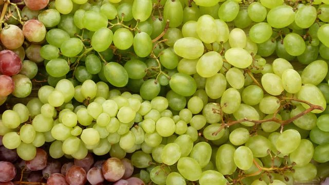 Ripe grapes. Green and pink grapes. Bunch of grapes - background.