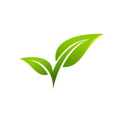 leaf and check mark logo vector isolated