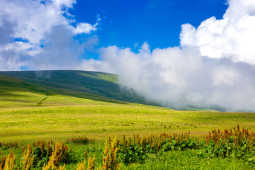Fototapeta premium Beautiful green mountain landscape with trees in Lago-Naki. Local travel. Green hills with dense forest, blue sky with clouds. Sheer brown cliffs.
