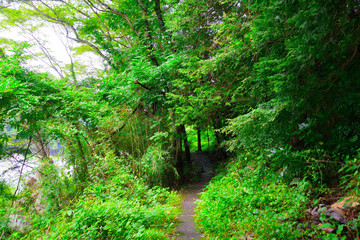 Obraz premium 御岳渓谷/Mitake gorge