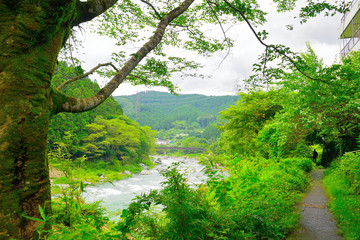 Fototapeta premium 御岳渓谷/Mitake gorge