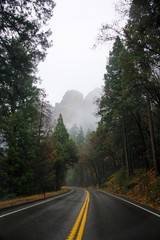Obraz premium fall in Yosemite National Park