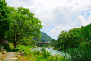 Fototapeta na wymiar 御岳渓谷/Mitake gorge