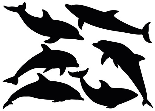 Dolphins in different poses. Vector image.