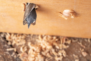 Creating holes with a metal drill in a piece of wood. Minor carpentry work in a home workshop.