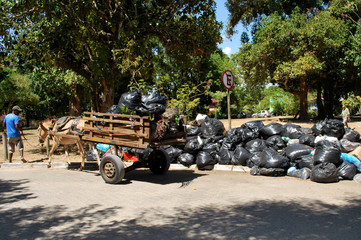 porto seguro, bahia / brazil - january 10, 2012: animal-drawn wagon is used to collect lixom in the...