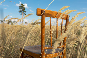 Classic wooden chair outdoors in a field. Concept of loneliness and emptiness.