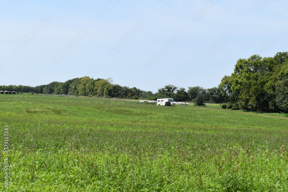 Wall mural field with hay bales and a livestock trailer