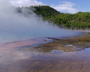 Wonderful landscapes, animals, waterfalls, volcanoes and trees