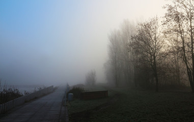 Cold winter morning - fog - riverside park