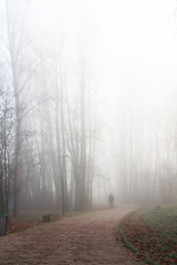 Obraz premium Cold winter morning - fog - alley