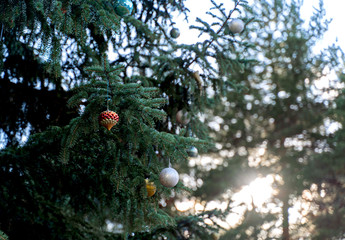 Colorful large Christmas balls hang on the tree. Colorful large Christmas balls hang on the tree.