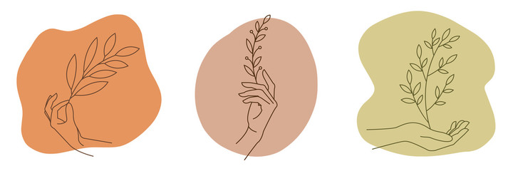 Hand holding leaf, logo template, line art style. Perfect for cosmetics skincare products branding design. Vector illustration