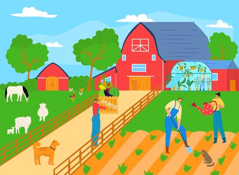 People farmer work at agriculture plant farm, man woman character farming gardening concept vector illustration. Organic harvest at garden, worker crop cartoon plantation. Working at rural field.