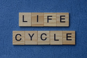 phrase life cycle made from gray wooden letters lies on a blue background