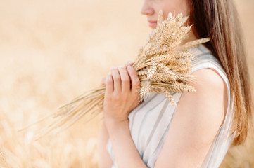 girl holding a golden ear of wheat on a wheat field. woman holds wheat with both hands.