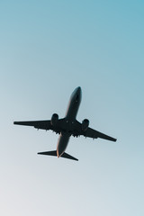 Plane flying low against light.