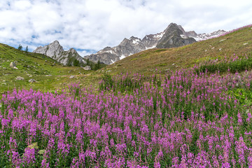 Fototapeta na wymiar Val Veny - Courmayeur - Valle d'Aosta - Italy
