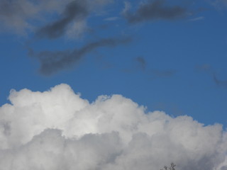 Above the clouds