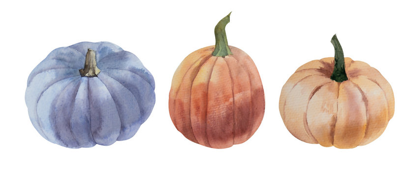 Watercolor orange and blue pumpkins set on white background.
