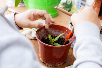 young woman holding a plant