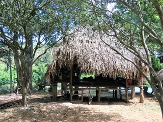 Fototapeta na wymiar hut in the village of the Embera Indian tribe