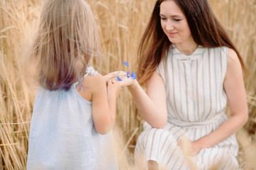 mom holds out a cornflower flower to her daughter in a wheat field in Belarus