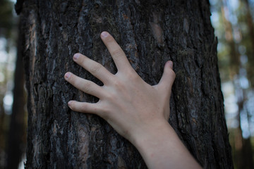 a young man embraces a tree trunk with his arms. ecological concept of hands on a tree trunk